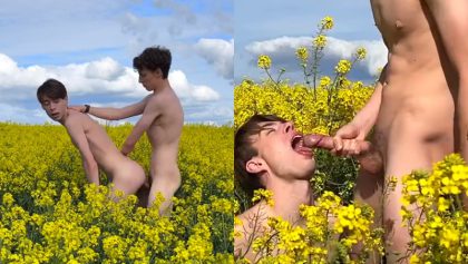 Twink twins – fucking in the flower field – OnlyGayPorn