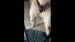 Fucking my toy and cumming hard over my mirror – Josh Boss (JoshBoss) – OnlyGayPorn
