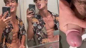 Young twink jerks off in the train bathroom – OnlyGayPorn
