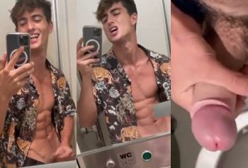 Young twink jerks off in the train bathroom – OnlyGayPorn